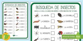 Fichas De Actividad Las Partes De Los Insectos Twinkl