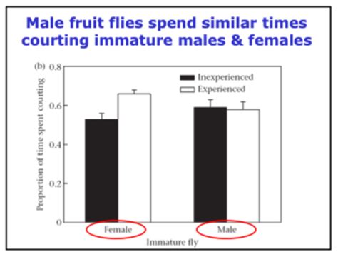 Same Sex Sexual Behaviour 🐻 Flashcards Quizlet