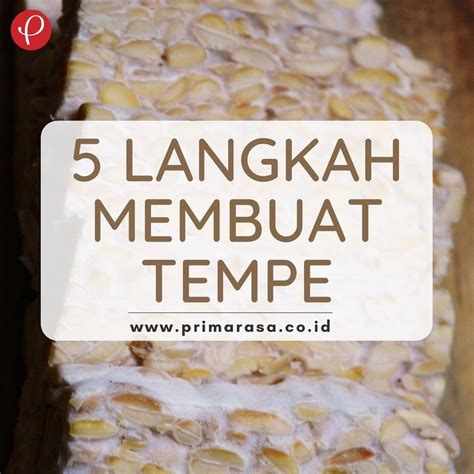 Langkah Langkah Pembuatan Tempe