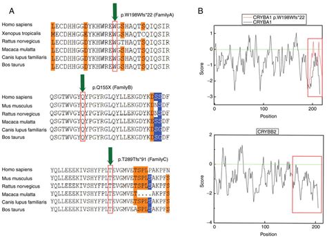 Mutation Bioinformatics Analysis A Amino Acid Conservation Analysis