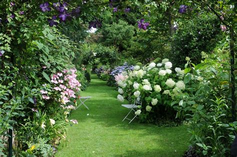 Gerelateerde Afbeelding Garden Trees Lawn And Garden Garden Paths