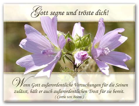 Karte Gott Segne Und Tr Ste Dich Christliche Spr Che Bilder