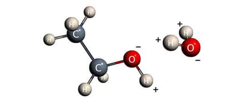 What type of solvents are water and ethanol? | Socratic