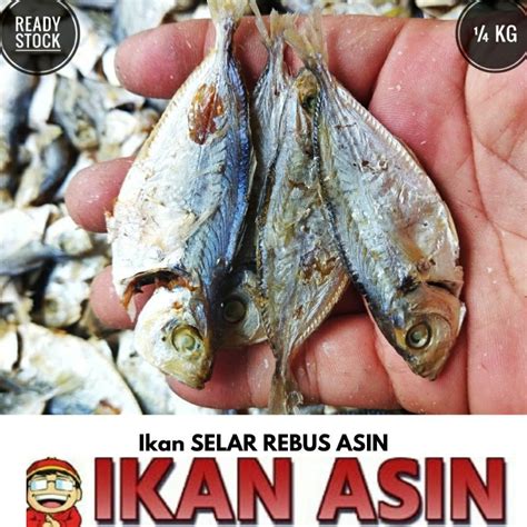 Jual Ikan Asin Selar Rebus 250 Gr Shopee Indonesia