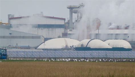 Transizione Ecologica LEmilia Romagna Accelera Su Fotovoltaico Ed