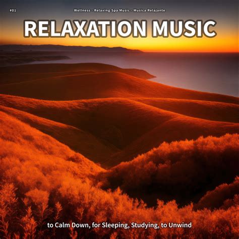 01 Relaxation Music To Calm Down For Sleeping Studying To Unwind