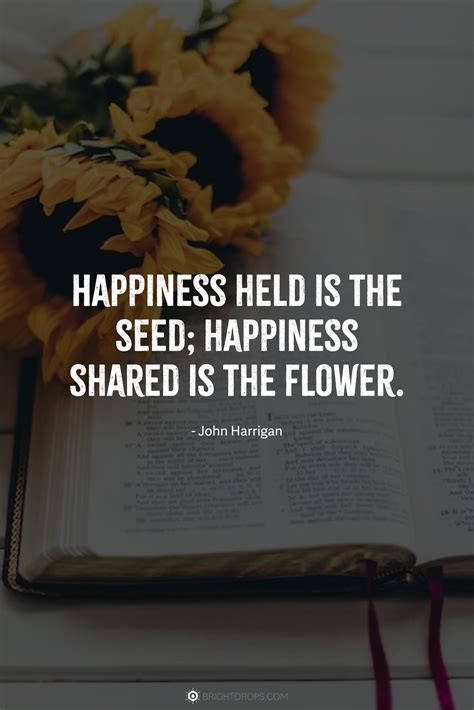 147 Sunflower Quotes for Instagram and Social - Bright Drops