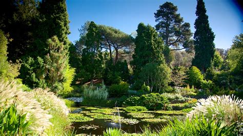 Royal Tasmanian Botanical Gardens in Hobart, Tasmania | Expedia