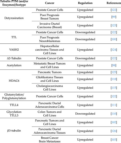 Tubulin Isotypes Post Translational Modifications And Modifying Download Scientific Diagram