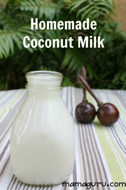 Homemade Coconut Milk Recipe • Mamaguru