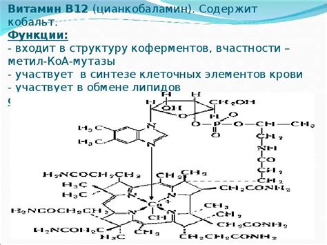 Лекция на тему: «Витамины»