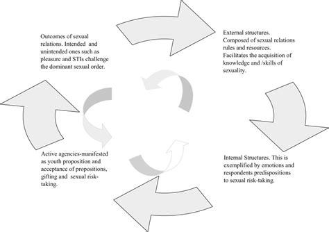 Recursive Sexual Risk Taking Influence Cycle Note Author Developed