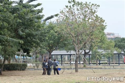 嘉義市開辦景觀樹木修剪 結合根病防治為樹木健檢 Ettoday地方新聞 Ettoday新聞雲