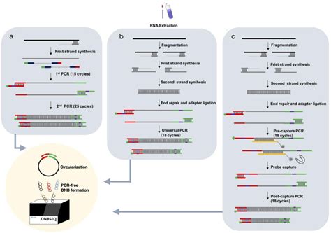 Multiple Approaches For Massively Parallel Sequencing Of Hcov 19 Genomes Directly From Clinical