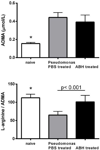 Concentrations Of The Amino Acids L Ornithine And L Arginine In Mouse