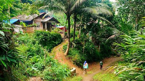 Kampung Terpencil Di Dataran Tinggi Cilacap Jawa Tengah Petualangan