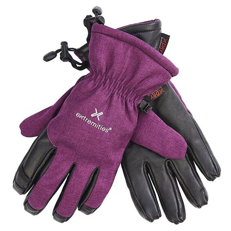 楽天市場テラノバ TERRA NOVA Mistaya Glove Purple 22LJG vic2ビックツー