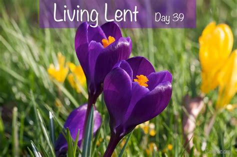 Living Lent Saturday Of The Fifth Week Of Lent Day 39 Socials