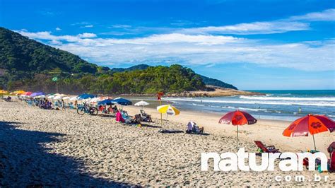 Camburi E Camburizinho Guia Definitivo Naturam