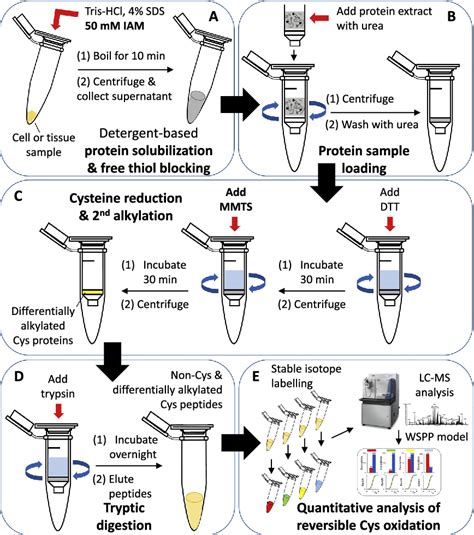 Figure From Improved Integrative Analysis Of The Thiol Redox Proteome