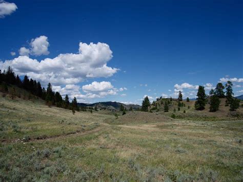 Hiking the Golden Mile Stamp Mill Trail - Backwoods Mama