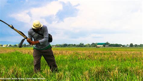 Rice Tariffication IBON Foundation