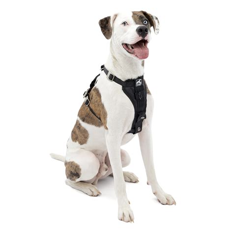 Kurgo Dog Harness | Car Harness for Dogs Medium Black Pet Safety Seat