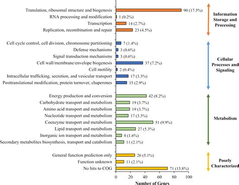 Frontiers Genome Wide Transposon Mutagenesis Analysis Of Burkholderia