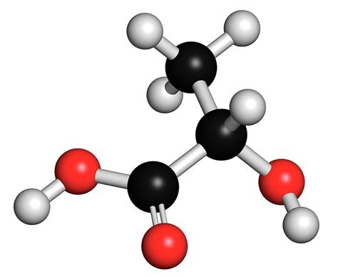 Milk Sugar Molecules