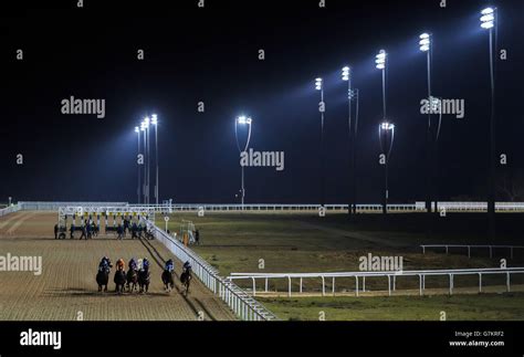 Horse Racing - Chelmsford City Racecourse Stock Photo - Alamy