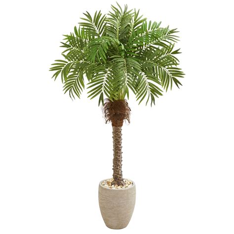 Earthflora Artificial Roebellinii Palms 63 Robellini Palm Artificial Tree In Sandstone Planter