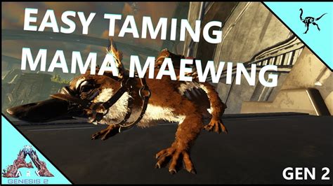 How To Tame A Maewing And How To Fly A Maewing Ark Survival Evolved