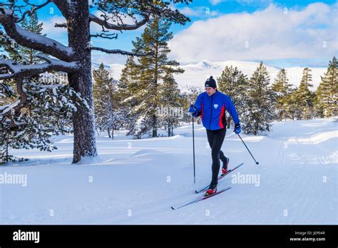 Porter des skis Banque de photographies et dimages à haute résolution