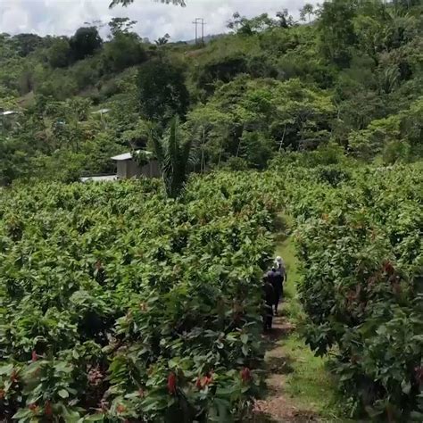 Midagri PerÚ On Twitter El Padrón De Productores Agrarios Ppa Del Midagri Es Una