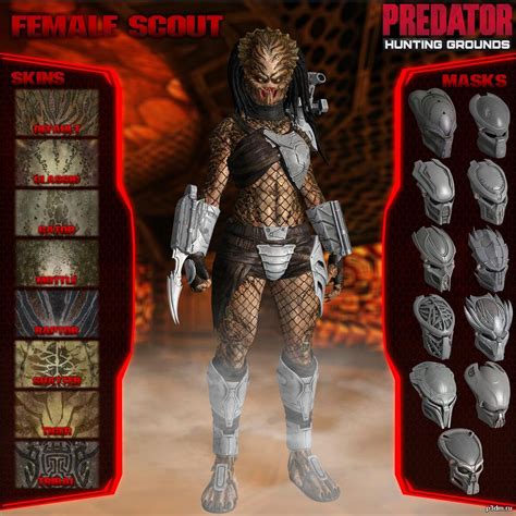 Predator Female Telegraph