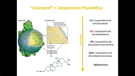 O Que Sao Lipoproteinas RETOEDU