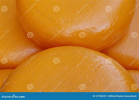 Cheese on the Market in Holland Stock Image - Image of food ...