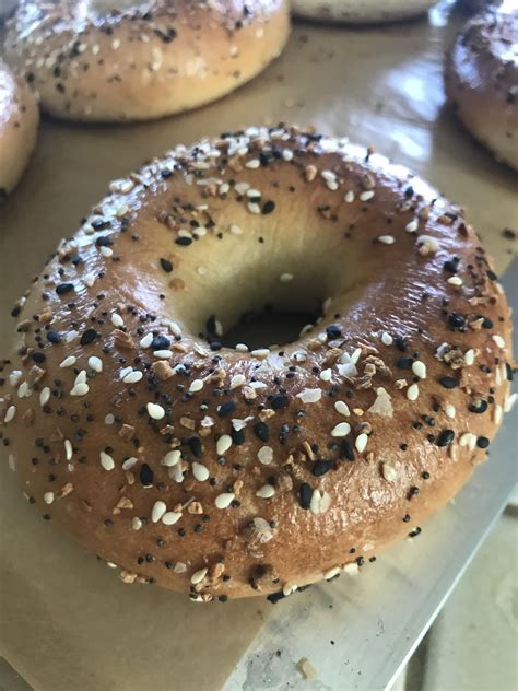 [homemade] Boiled “Everything” bagels : r/food