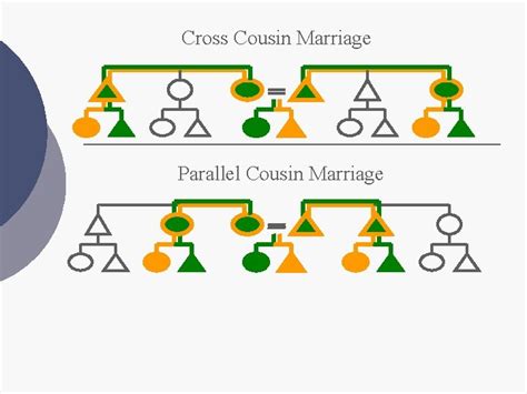 Chapter 8 Kinship And Marriage Objectives L L