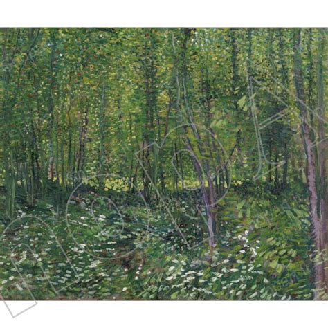 Van Gogh Alberi E Sottobosco Quadro Stampa Su Tela Poster Tavola