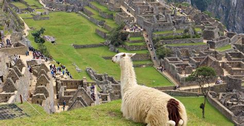 Lima 9 Day Peru Express With Ica Cusco And Puno GetYourGuide