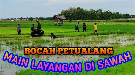 Bocah Petualang Serunya Main Layangan Di Tengah Sawah Anak Desa