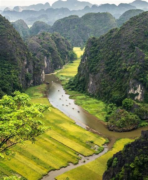 Thung Nham Bird Park Day Tour - Watching Bird Trip - Tours By Vietnam