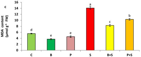 Seeds Free Full Text Comparative Study Of Cis And Trans Priming