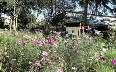 Saint Brieuc Pour Fleurs En F Te Le Parc Du Ty Coat Sest Par De