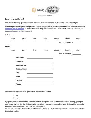 Fillable Online Amputee Coalition Goal Form Amputee Coalition