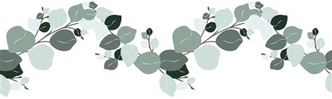 Eucalyptus Border PNGs for Free Download