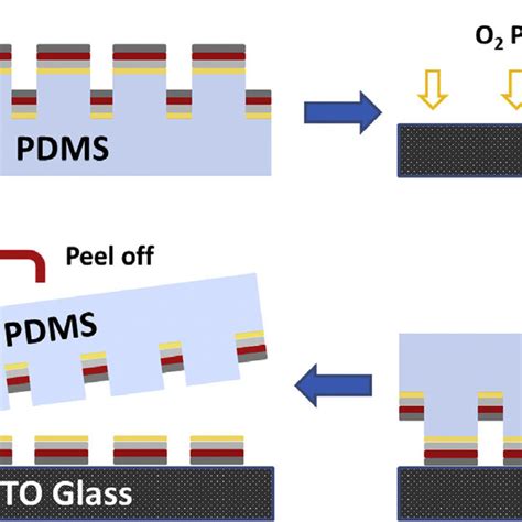 Schematic Of The Transfer Procedure Deposition Of Films Onto Pdms Download Scientific Diagram