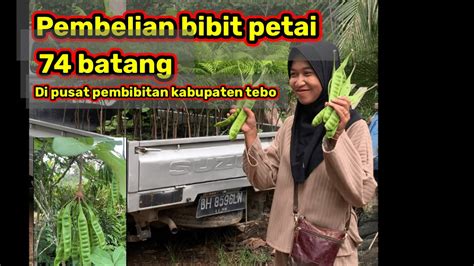 Pembelian Bibit Petai 74 Batang Di Pusat Pembibitan Di Kabupaten Tebo