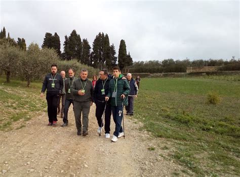 Giornata Nazionale Della Camminata Tra Gli Olivi Il Ottobre